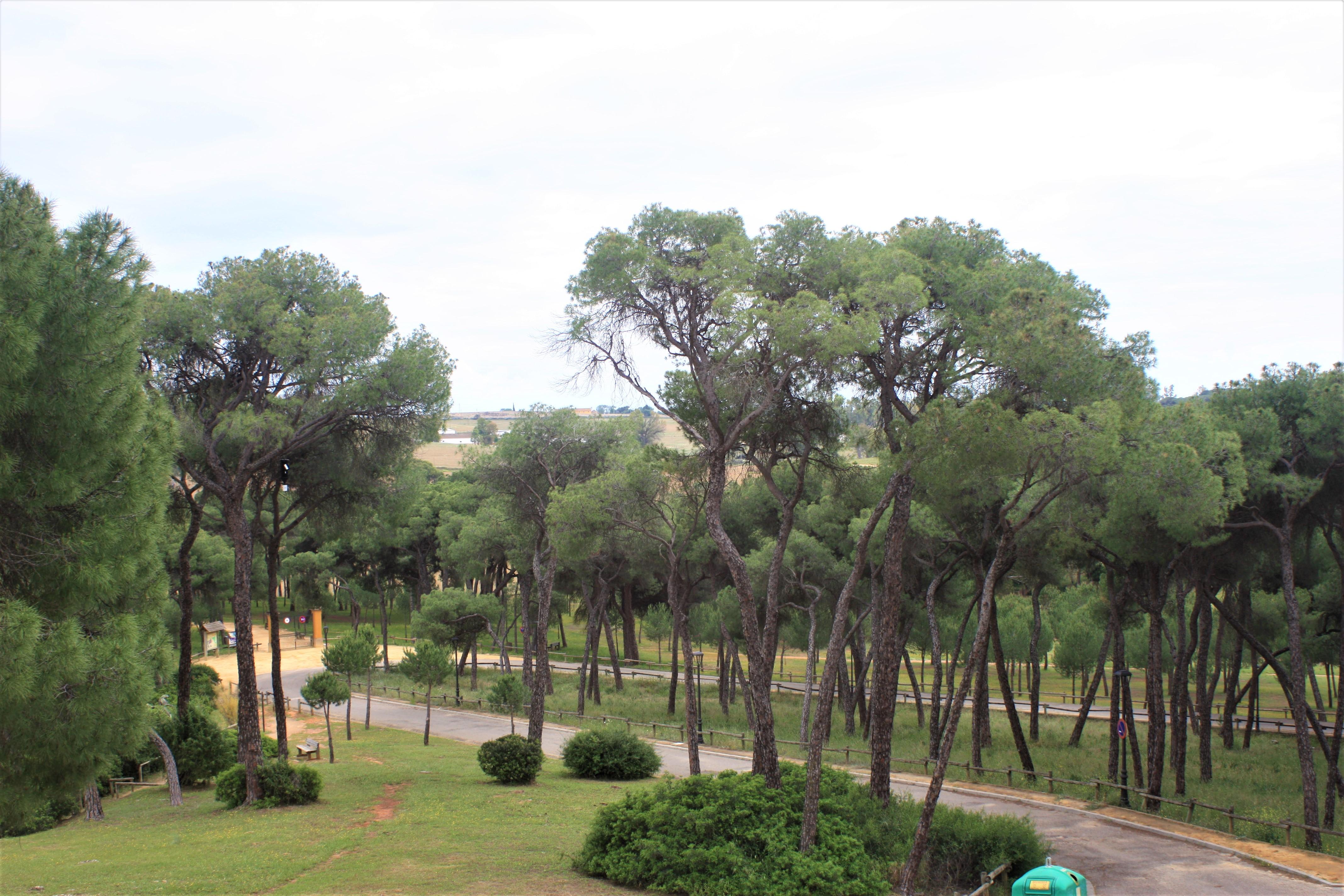 Alcalá de Guadaira Hotel Oromana מראה חיצוני תמונה