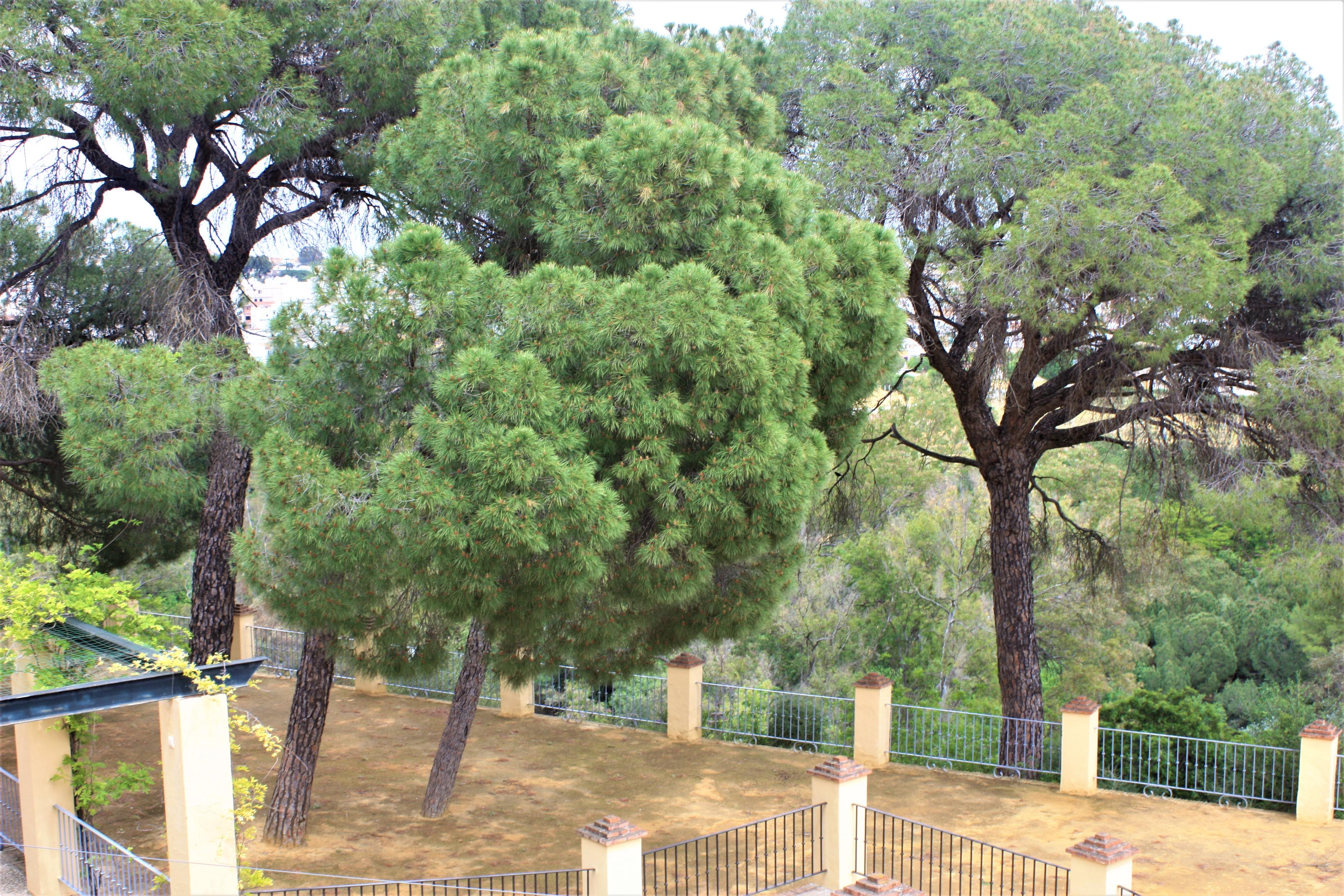 Alcalá de Guadaira Hotel Oromana מראה חיצוני תמונה