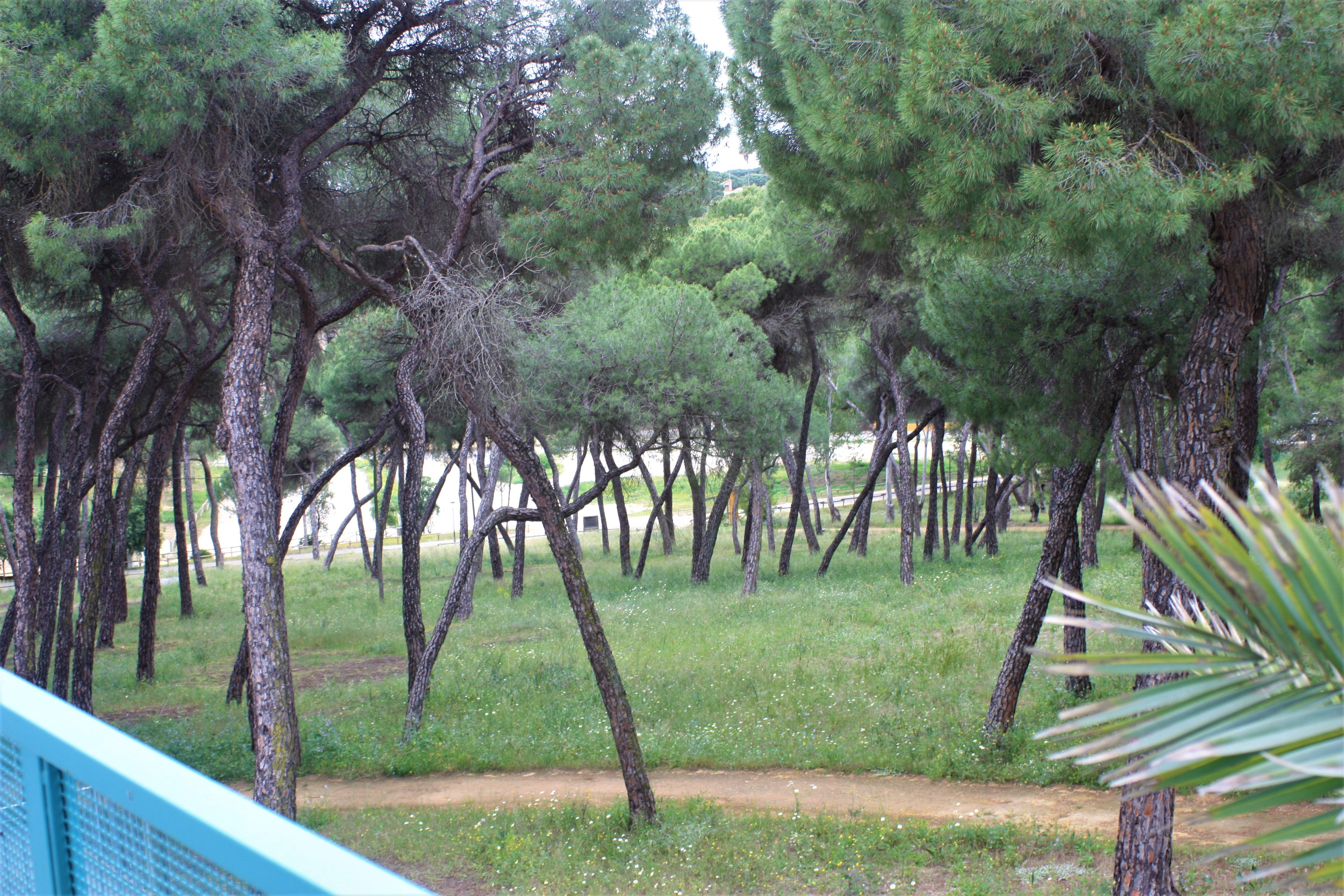 Alcalá de Guadaira Hotel Oromana מראה חיצוני תמונה
