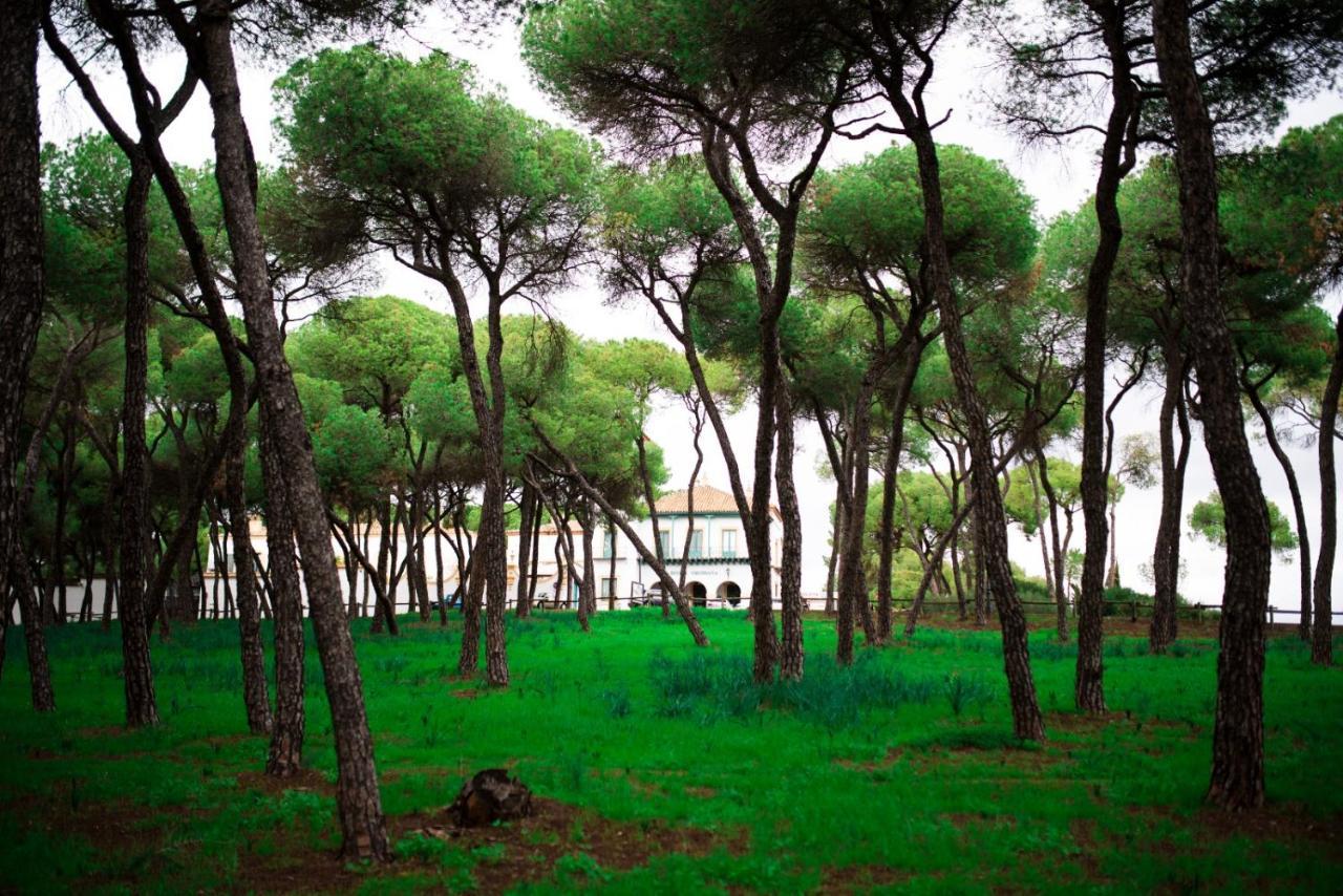 Alcalá de Guadaira Hotel Oromana מראה חיצוני תמונה